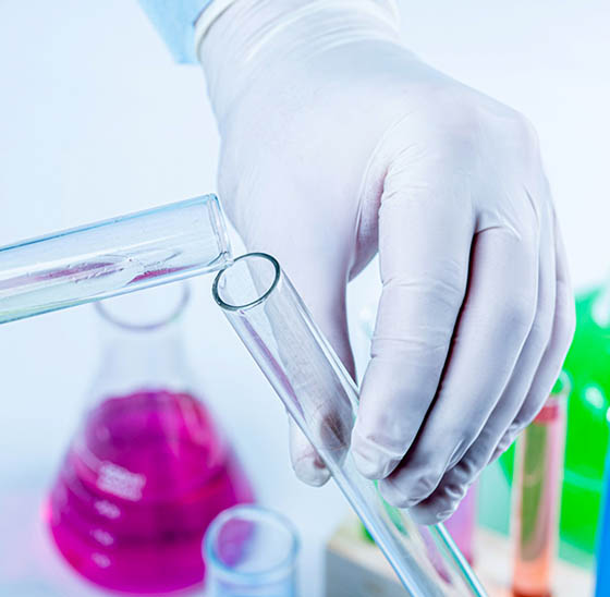 驅(qū)（滅）害蟲試驗(yàn)